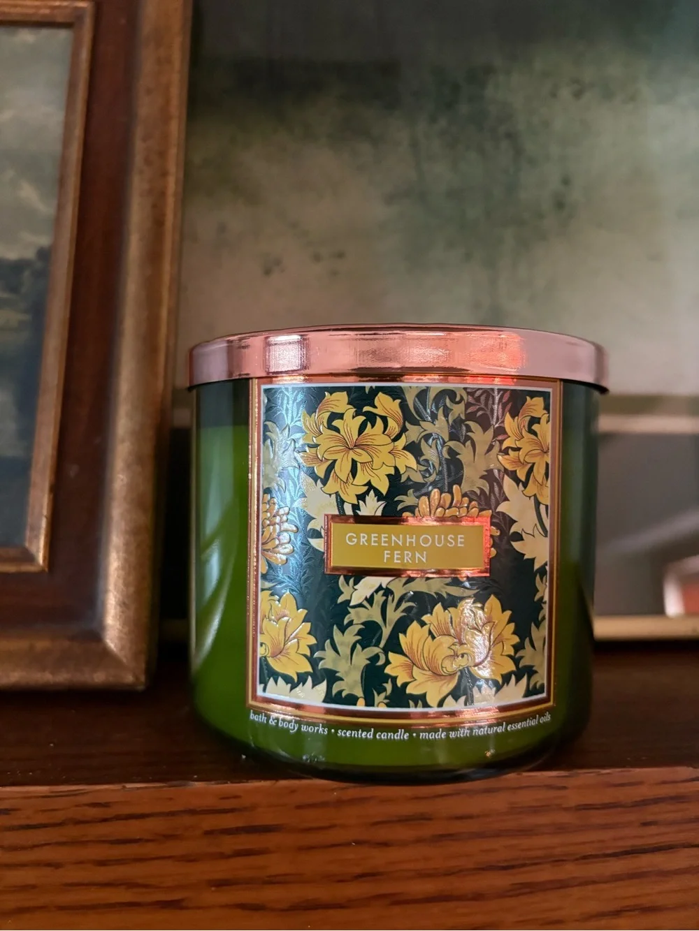 Bath & Body Works Greenhouse Fern Scented Candle Green New 14.5 oz